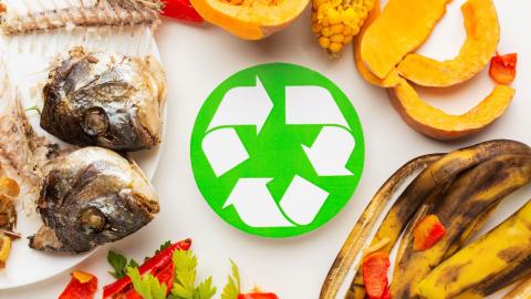 LEY DE DESPERDICIOS ALIMENTARIOS